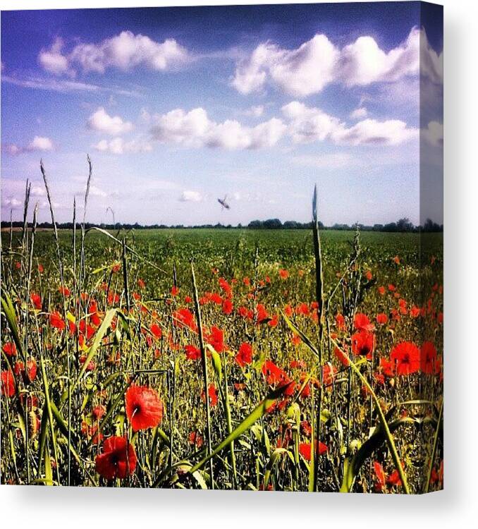Clouds Canvas Print featuring the photograph #poppies #sunshine #yorkshire #clouds by Pete Carr