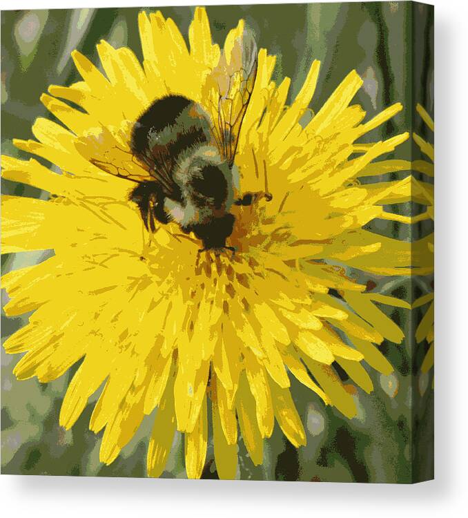  Canvas Print featuring the photograph Posterized Bumble Bee by Mark J Seefeldt