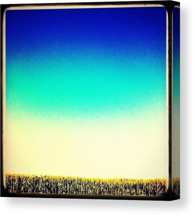 Field Canvas Print featuring the photograph #pumpkin #patch #corn #field by Aka J