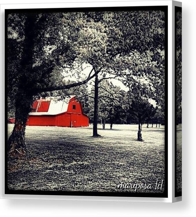 Blackandwhite Canvas Print featuring the photograph Red Barn by Mari Posa
