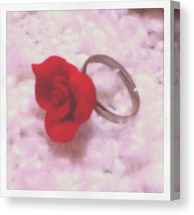  Canvas Print featuring the photograph Red Rose Ring By Parastar Arts by Tanya Pillay