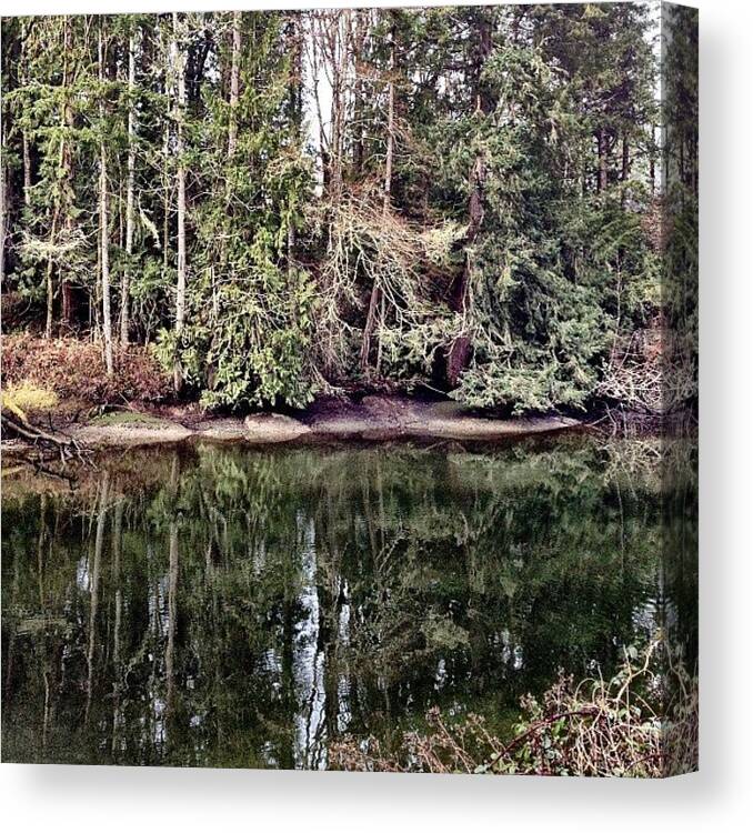 Instagram Canvas Print featuring the photograph Reflect #ig #instagram #iphone4s by Brandon Erickson