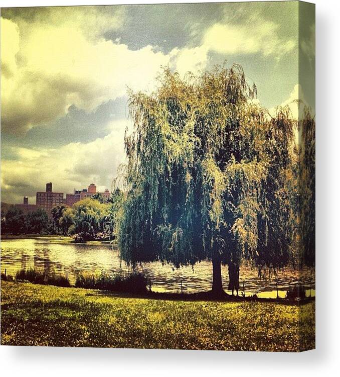 Summer Canvas Print featuring the photograph Relaxation In Central Park. #newyork by Luke Kingma
