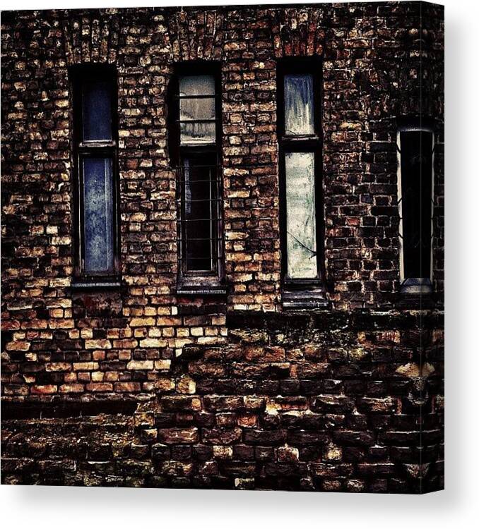 Prohdr Canvas Print featuring the photograph #riga #forgottenwalls #moss #decay by Silvestrs Usins