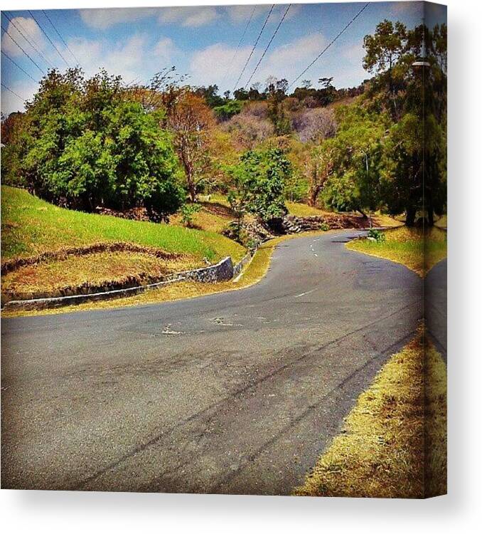Tree Canvas Print featuring the photograph #road #tree #sky #cloud by Inas Shakira