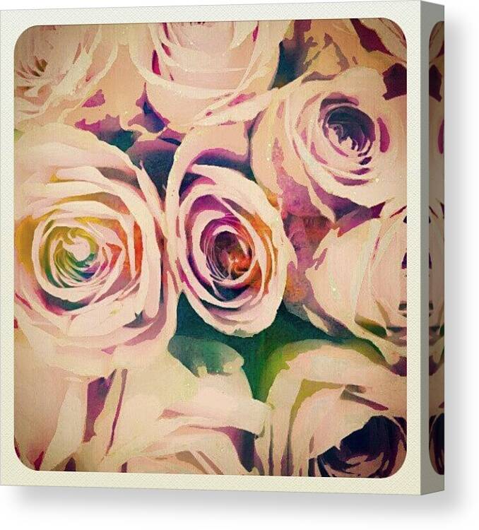 Sketch Canvas Print featuring the photograph #rose #watercolor #sketch #drawing by Stephen Clarridge