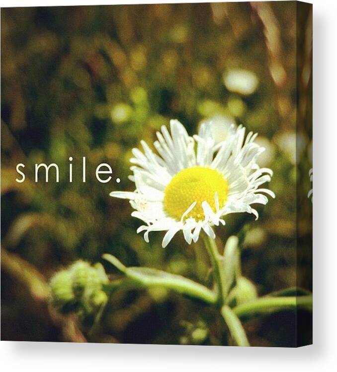 Godisgood Canvas Print featuring the photograph S M I L E. Simple Picture, Simple by Traci Beeson