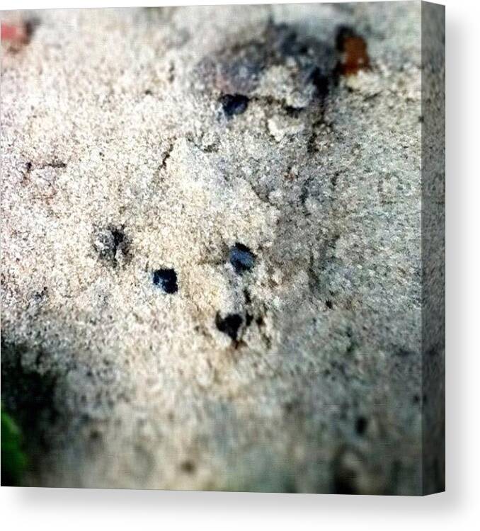 Beautiful Canvas Print featuring the photograph #sand #beach #bear #pattern #pretty by Pictures 🌺 Photos 📷