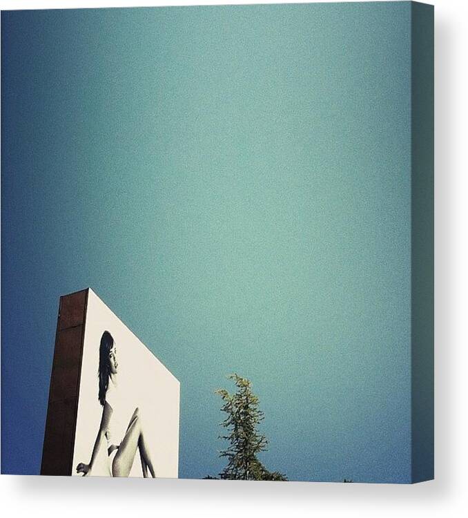 Photosofphotos Canvas Print featuring the photograph Sex And Tress In The Sky. #la by Noel Hennessy