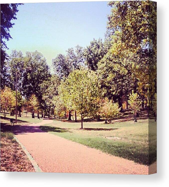 Annabeas Canvas Print featuring the photograph Shaw Park by Anna Beasley