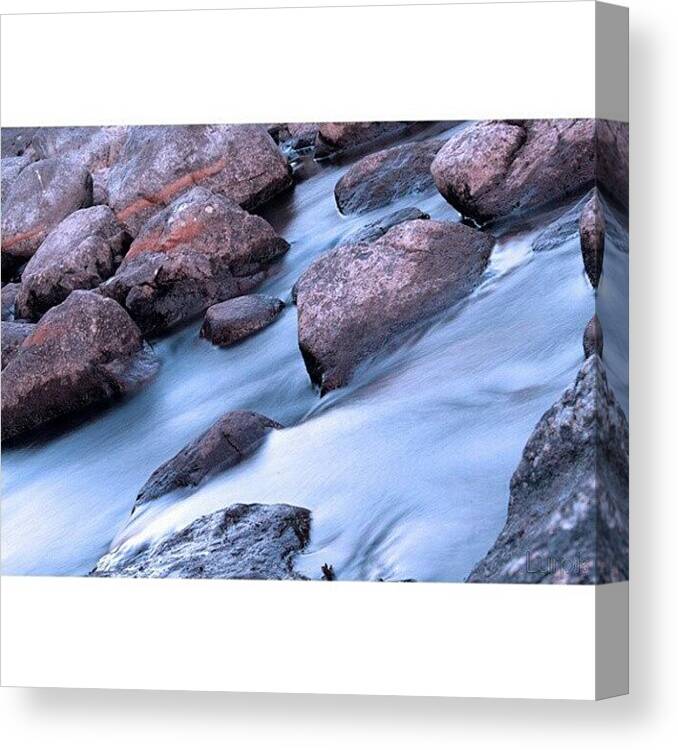 Beautiful Canvas Print featuring the photograph Silver| #tweegram #igers #instamood by Robin Hedberg