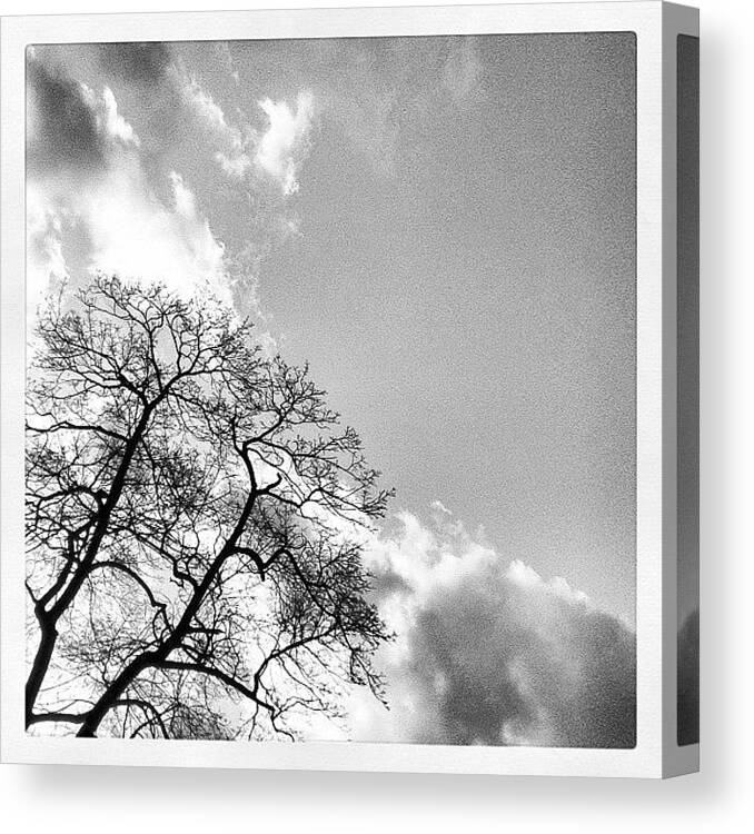 Clouds Canvas Print featuring the photograph Sitting Sideways by Mariama Rafetna