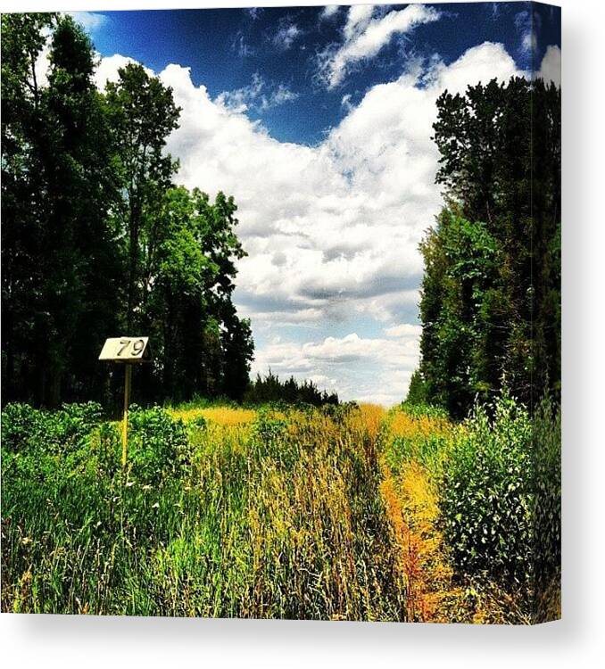 Lifeproofgreen Canvas Print featuring the photograph #sixmile #sixmilerun #marker #trails by Tyler Mcnee