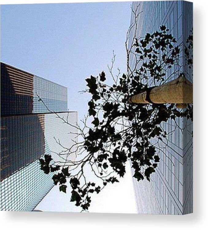 Skyscrapers Canvas Print featuring the photograph #skyscrapers #losangeles #downtown #la by Michael Lynch