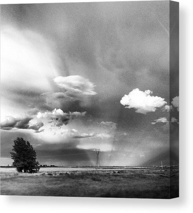 Prairie Canvas Print featuring the photograph Skyward by Trever Miller