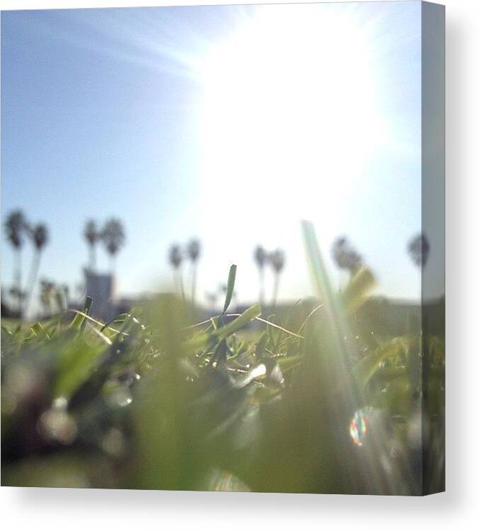 Sun Canvas Print featuring the photograph Soccer In The Sun by B C