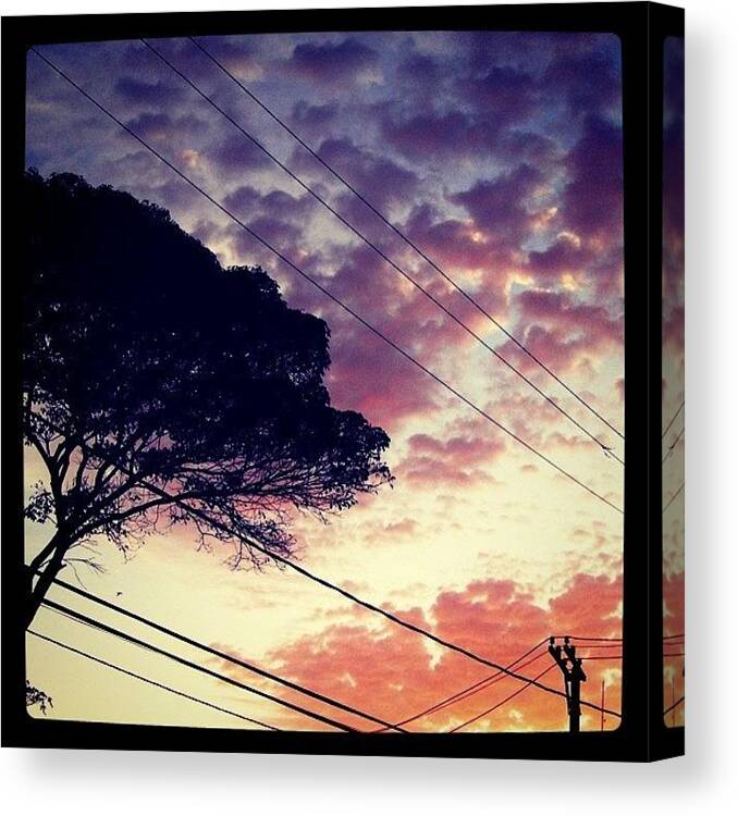 Cute Canvas Print featuring the photograph Sol + Friozingo by Amailto Sales