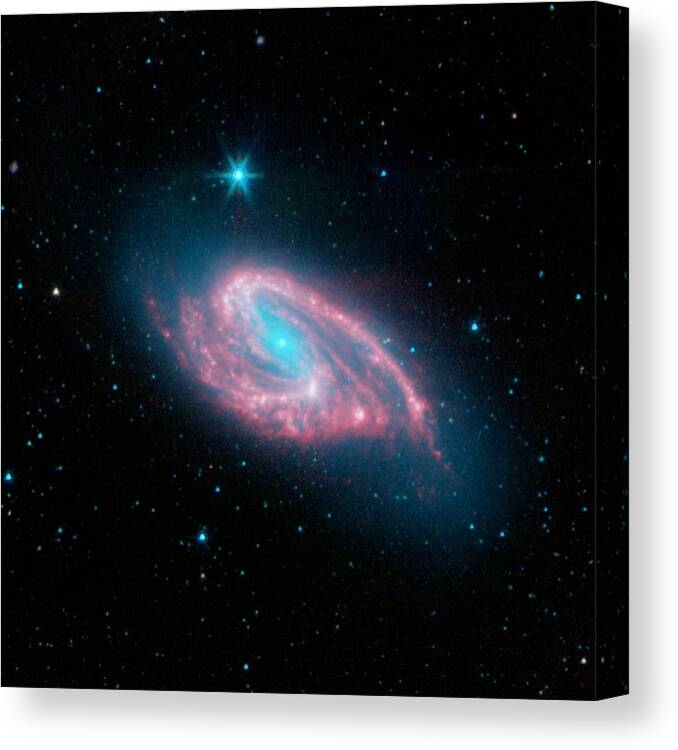 Ngc 3627 Canvas Print featuring the photograph Spiral Galaxy M66, Infrared Image by Jpl-caltechr. Kennicutt (university Of Arizona)sings Team Nasa