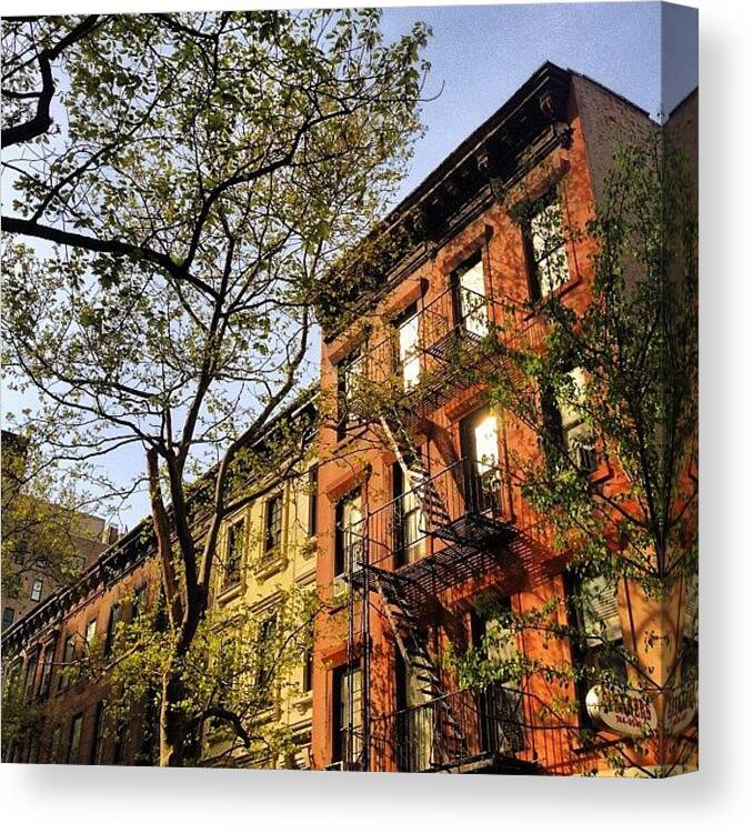 New York City Canvas Print featuring the photograph Spring Blossoms - New York City by Vivienne Gucwa