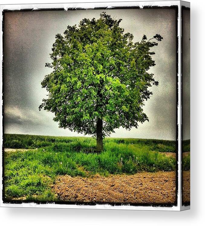 Myswitzerland Canvas Print featuring the photograph Springtime. Before The Rain by Urs Steiner