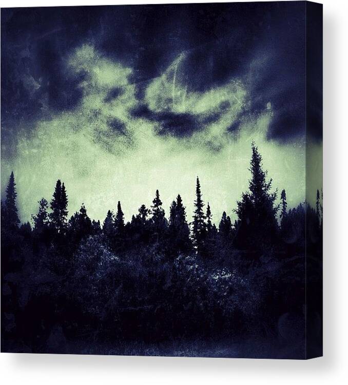 Naturelover Canvas Print featuring the photograph Spruce silhouettes by Jessica Mutimer