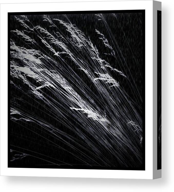 Timewireless Canvas Print featuring the photograph #squaready #ink361_2ofanything by Paul Cutright