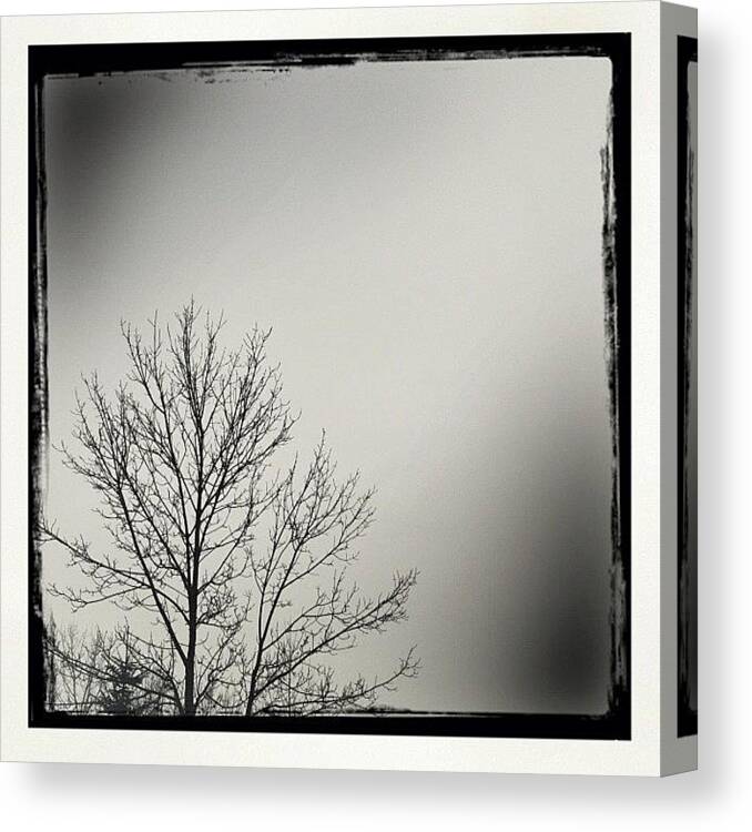 Outdoor Canvas Print featuring the photograph Stark by Jessica Mutimer