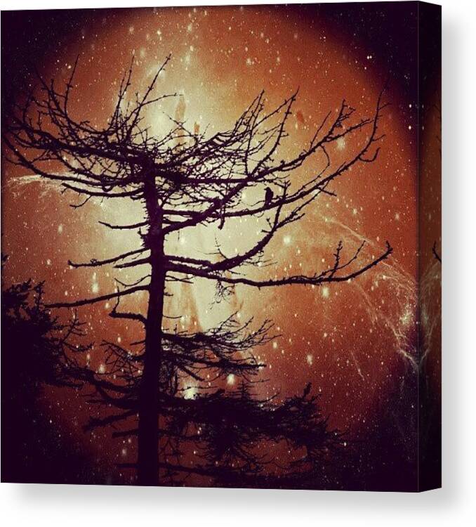 Scary Canvas Print featuring the photograph Starry Night by Linandara Linandara