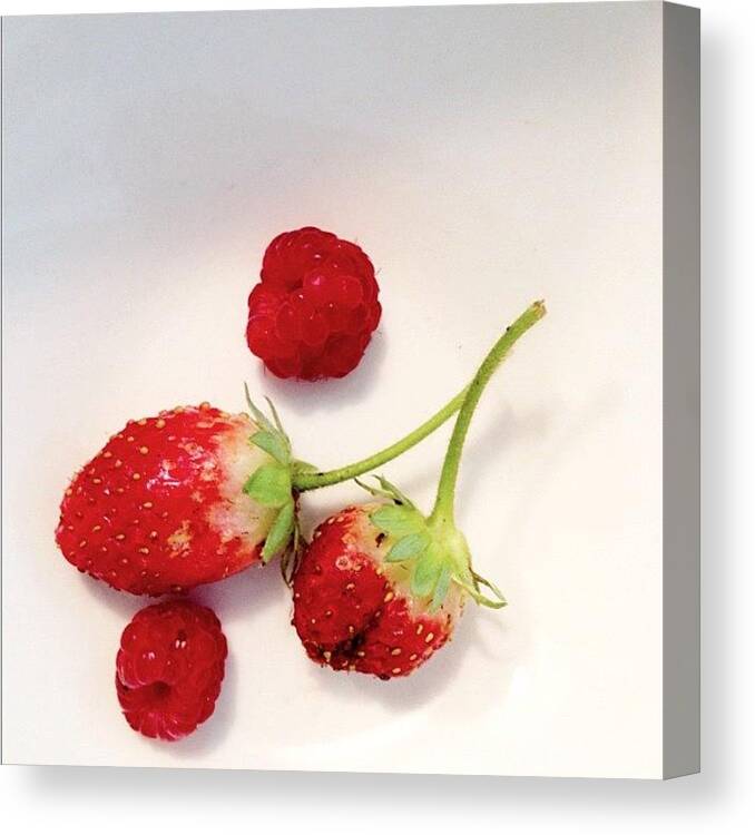 Gardening Canvas Print featuring the photograph #statagram #berries #strawberries by Allyson Dufour