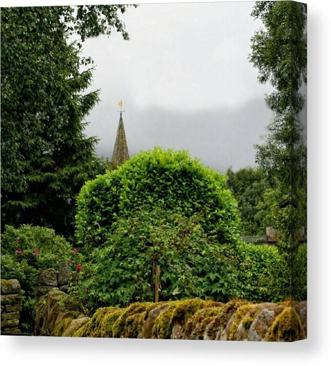 Hedge Canvas Print featuring the photograph Steeple by Abbie Shores