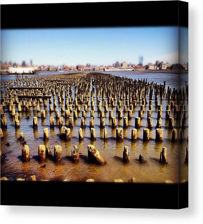 Dock Canvas Print featuring the photograph Stilt City by Jonathan Shapiro