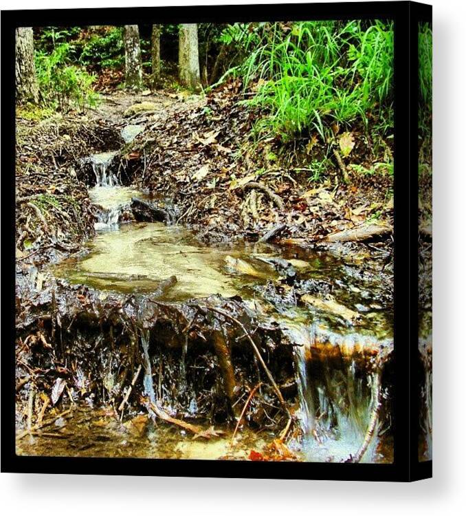 Creek Canvas Print featuring the photograph Stream In The Woods by Kyle Manaa