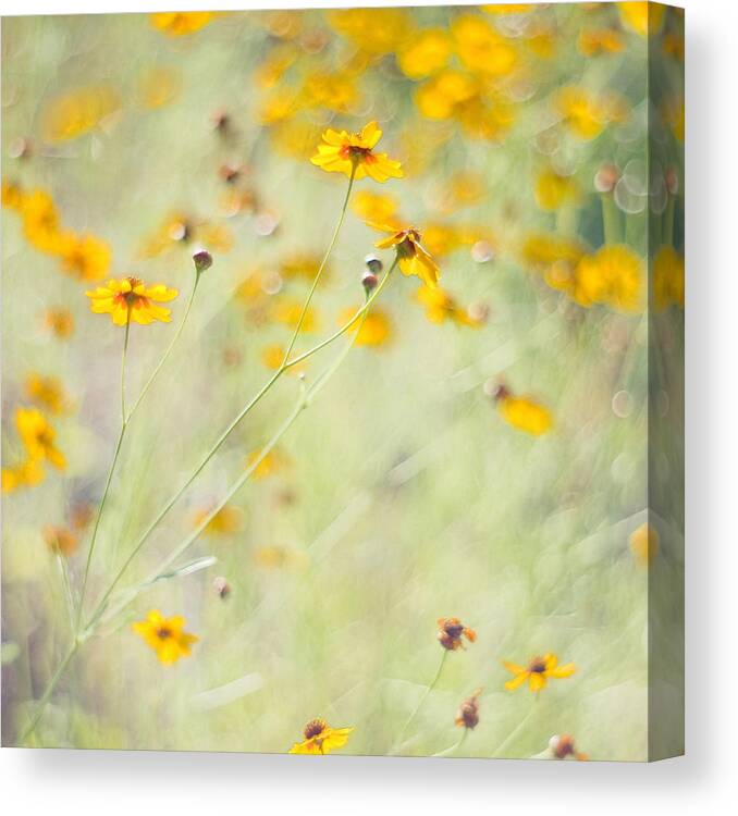 Wildflowers Canvas Print featuring the photograph Summer Invitation by Joel Olives