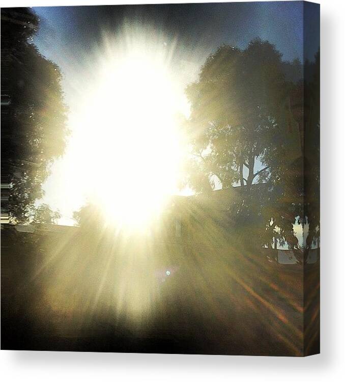 Daylight Canvas Print featuring the photograph #sun #shining #shine #sunshine #star by Logan Mcpherson