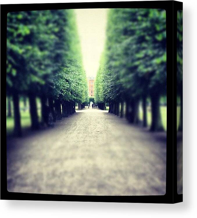 Instagram Canvas Print featuring the photograph Swedish Park #sweden #park by Phil Manassa