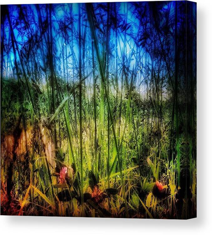 Igersrussia Canvas Print featuring the photograph ✨🌟sweet Dream💤, Peeps!!!🌟✨ by Maks Yurichev