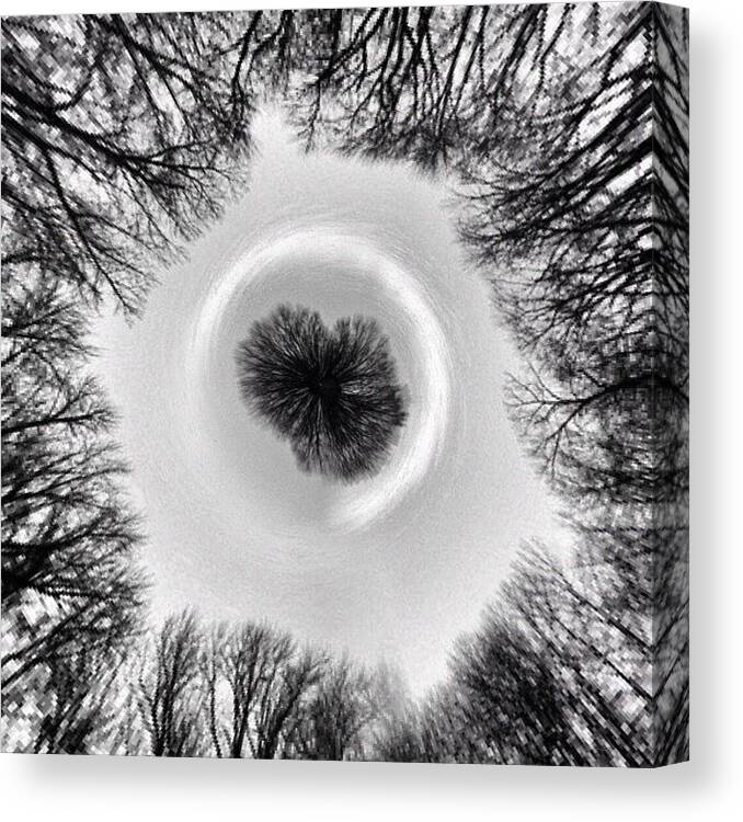 Trees Canvas Print featuring the photograph Swirl by Zachary C