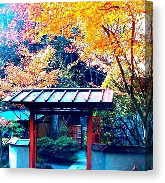 Fall Color Canvas Print featuring the photograph Tea House Gate in the Fall by Anna Porter