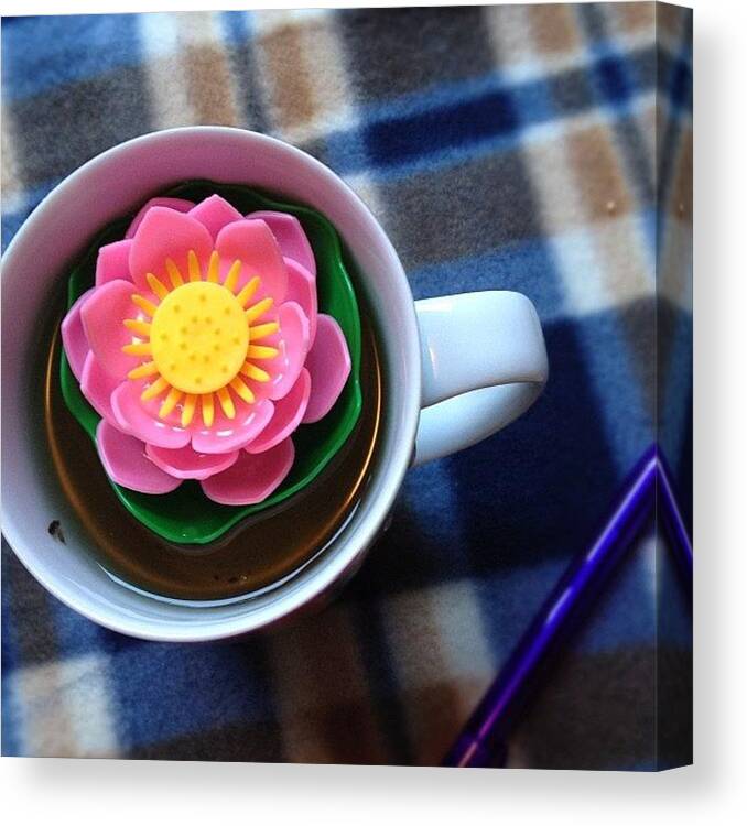 Tea Canvas Print featuring the photograph Tea Lily Infuser 50c From The Op Shop! by Vincy S
