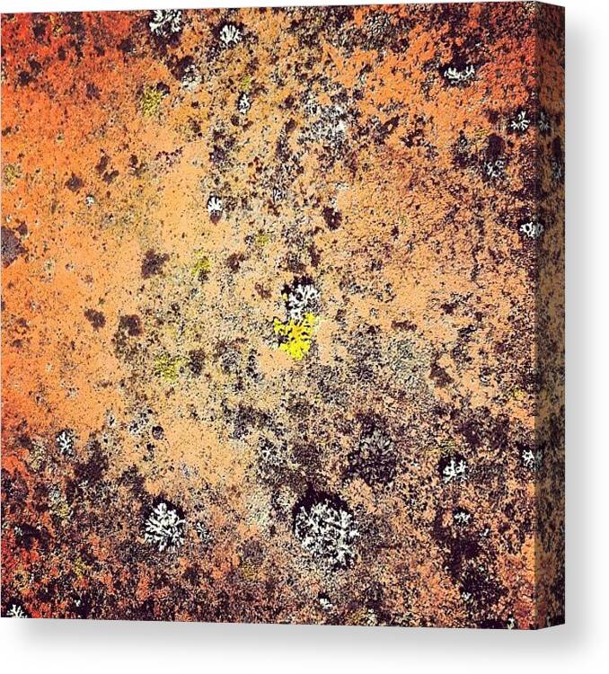 Texture Canvas Print featuring the photograph Terracotta Life by Nic Squirrell