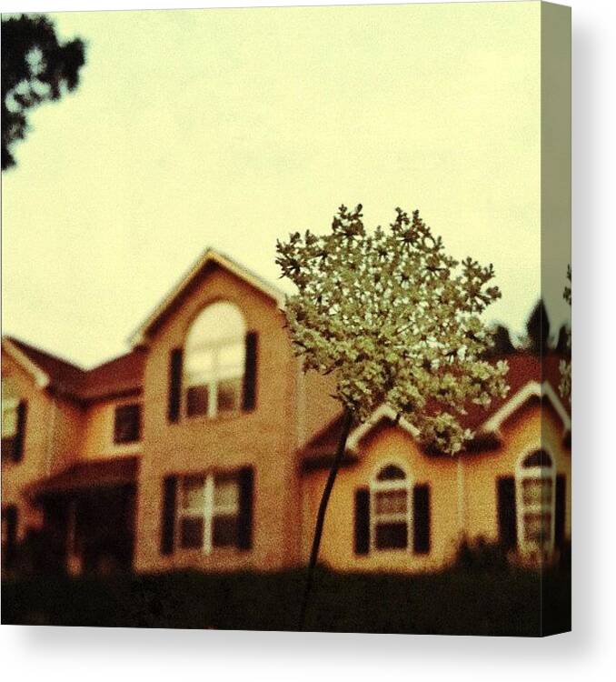 House Canvas Print featuring the photograph The House by Ryan Schroeder