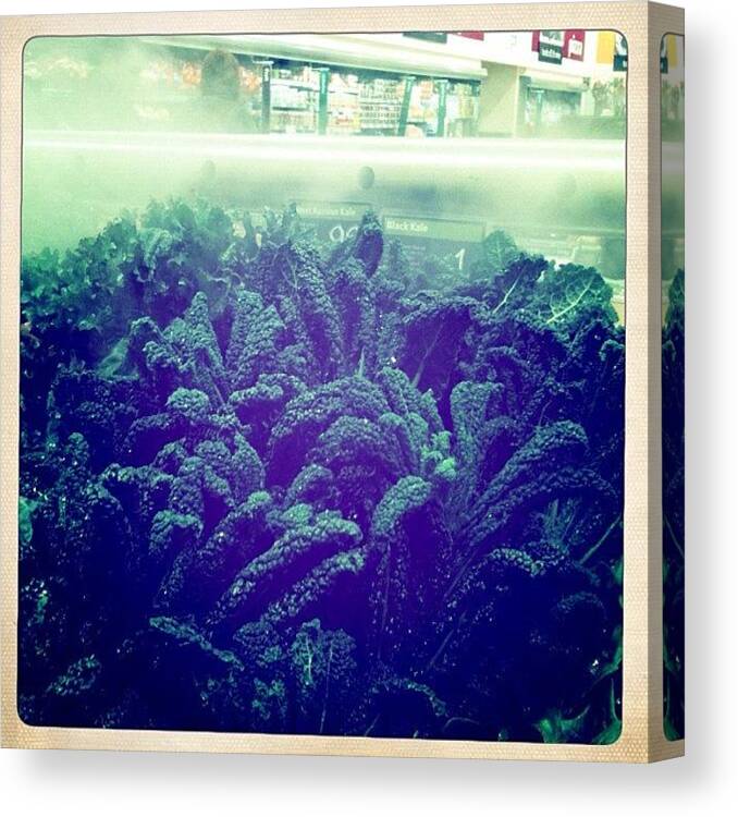 Photo Canvas Print featuring the photograph The Misty Forests Of Kale #photo by Michael James