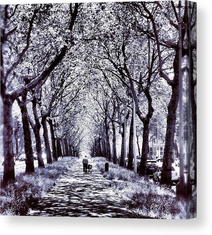 #holland Canvas Print featuring the photograph The Post Man by Jonathan P