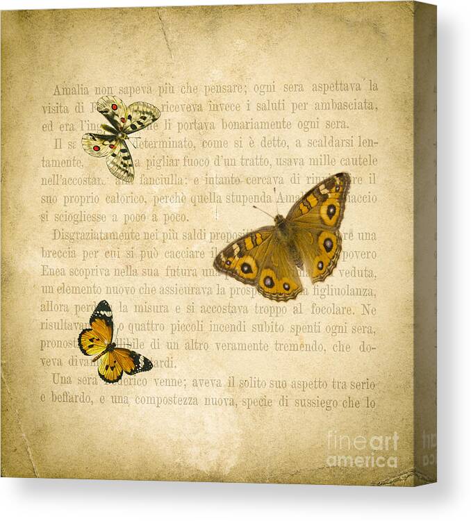 Aged Canvas Print featuring the digital art The Printed Page 1 by Jan Bickerton