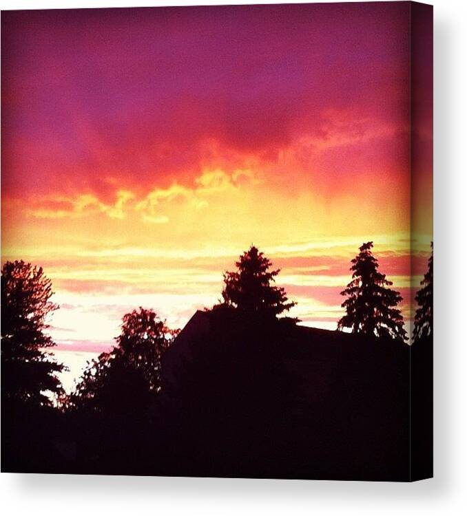 Pink Canvas Print featuring the photograph The Sky is a Canvas by Sara Lovelace