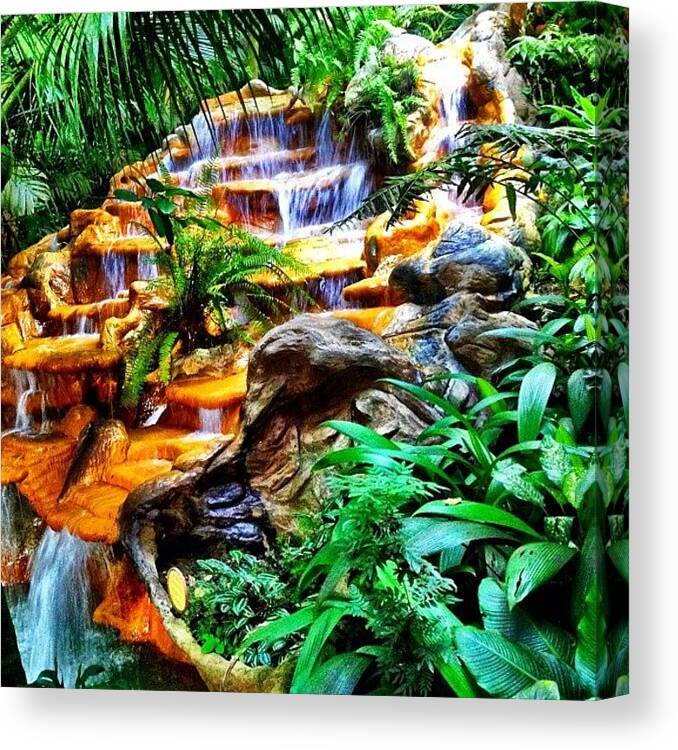 Summer Canvas Print featuring the photograph The Springs In #costarica by The Fun Enthusiast 