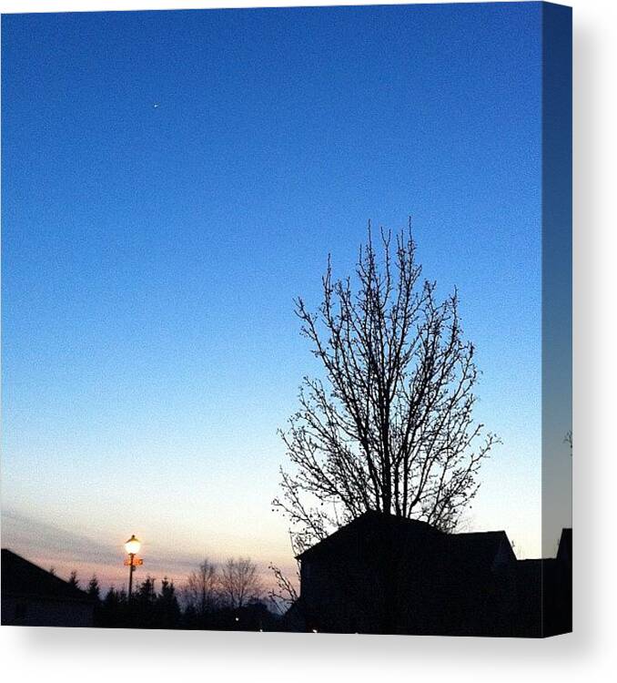 Blue Canvas Print featuring the photograph The Tree Is In Front The House People by Jenni Munoz