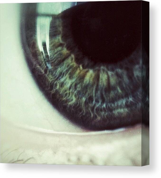 Instagram Canvas Print featuring the photograph The Way I See It by Misty D