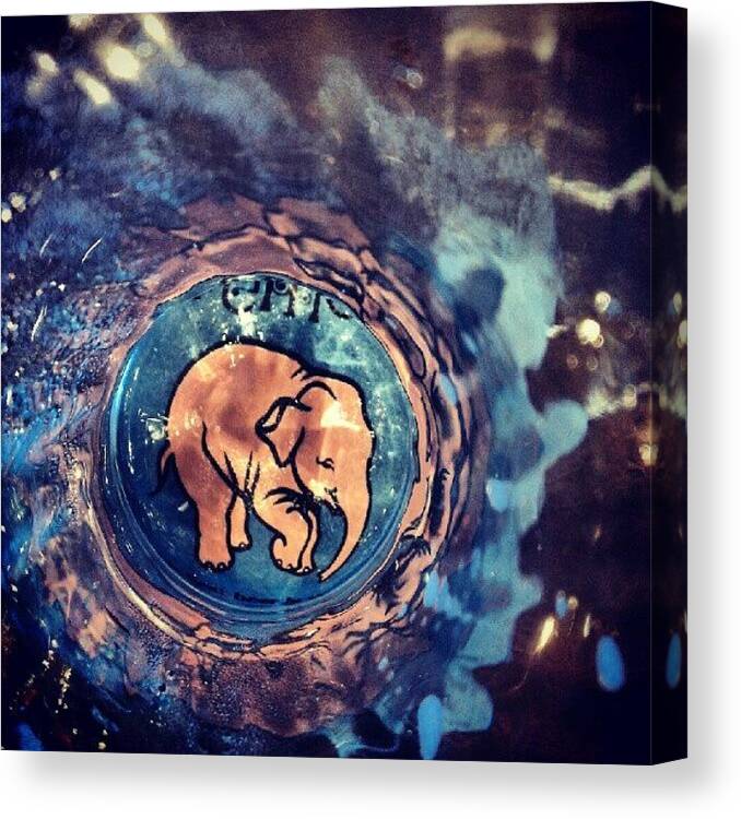 Bar Canvas Print featuring the photograph This Delirium Elephant On A Beer by Troy Thomas