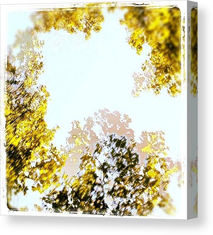 Sunroof Canvas Print featuring the photograph Through My #sunroof The #view Of A by Molly Slater Jones